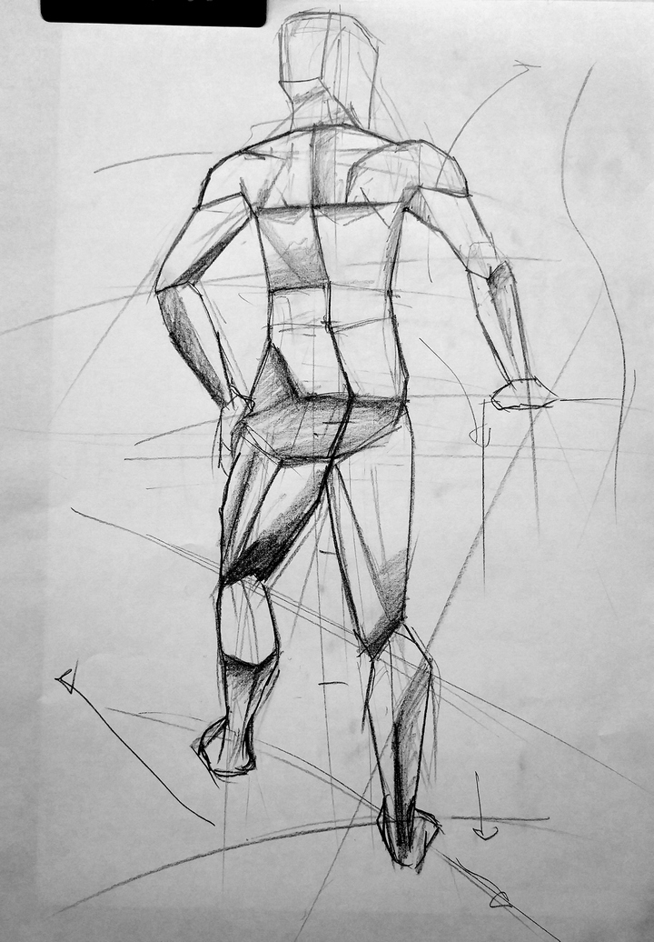 Boceto de Anatomía de 15 min
