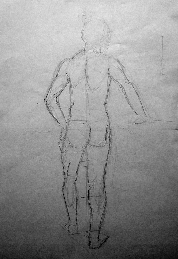 Boceto de Anatomía de 15 min